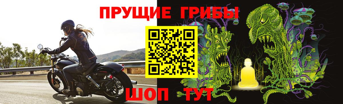 Псилоцибиновые грибы Psilocybe Первоуральск