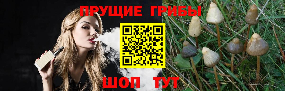 Галлюциногенные грибы ЛСД  Псилоцибиновые грибы GOLDEN TEACHER  Вход с VPN  Первоуральск 